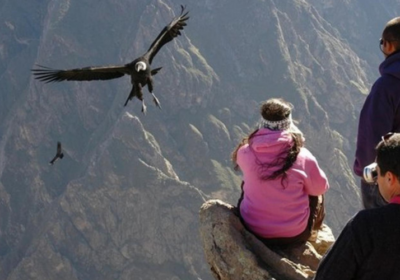 Tour 30 days and 29 nights