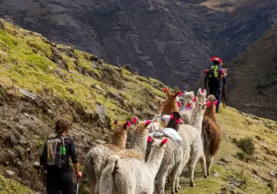 Lares trek a Machu Picchu