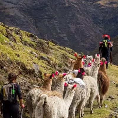 Lares trek to Machu Picchu  4 Days And 3 Nights