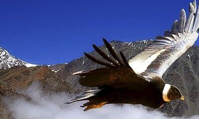 Aventura Arequipa - 3dias / 2noches